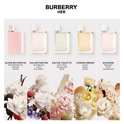 burberry her priceline|burberry her peony scent.